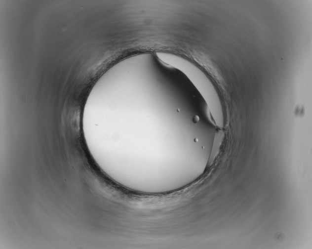 X0000089970021200707271931