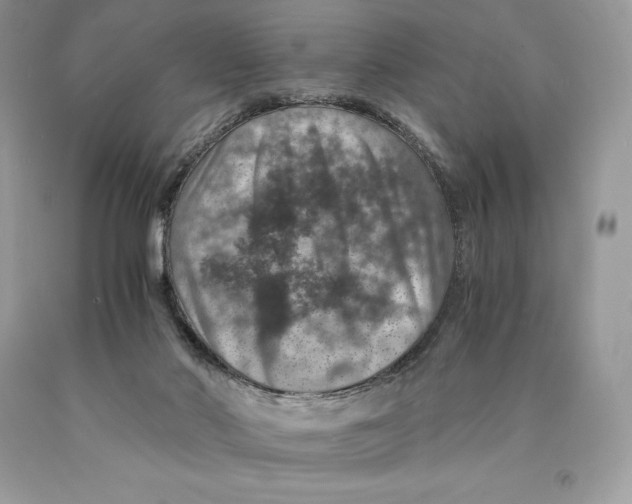 X0000089970022200707271931