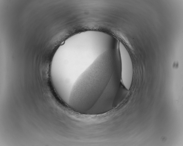 X0000089970023200707271931