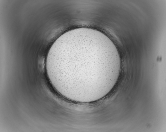 X0000089970024200707271931