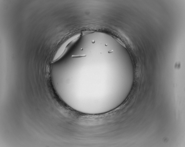 X0000089970025200707271931