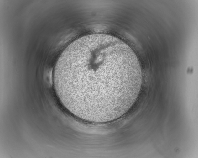 X0000089970028200707271931