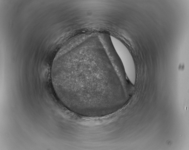 X0000089970029200707271931