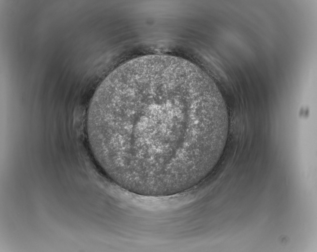 X0000089970030200707271931