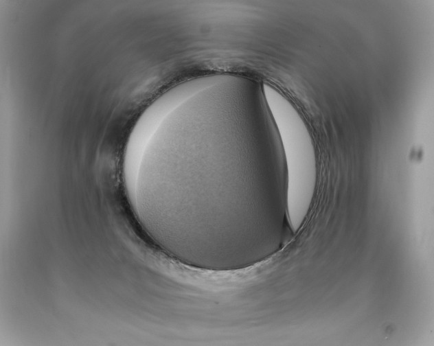 X0000089970031200707271931