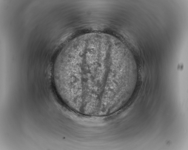 X0000089970032200707271931