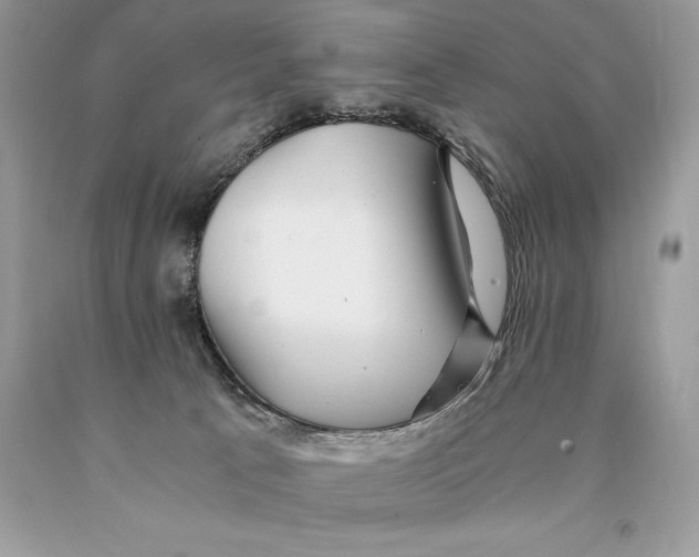 X0000089970033200707271931