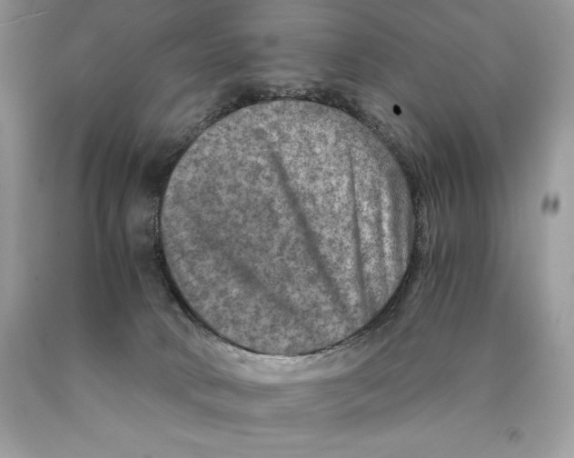 X0000089970034200707271931