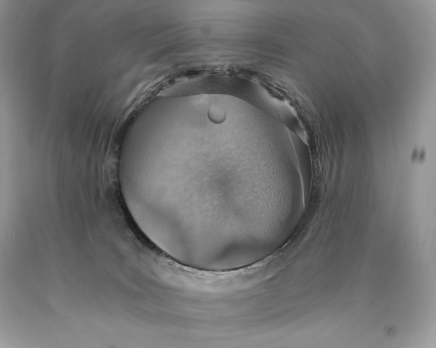 X0000089970035200707271931