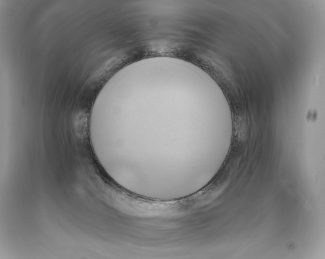 X0000089970036200707271931