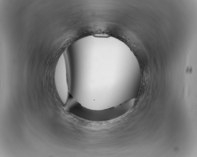 X0000089970037200707271930