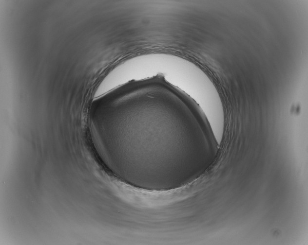 X0000089970039200707271930