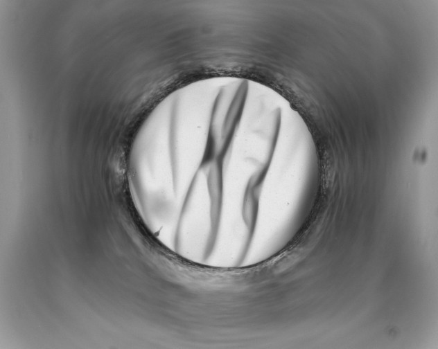 X0000089970040200707271930