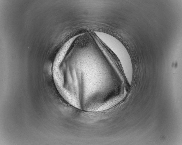 X0000089970041200707271930