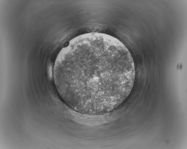 X0000089970042200707271930