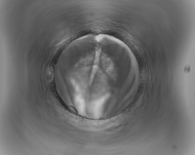 X0000089970043200707271930