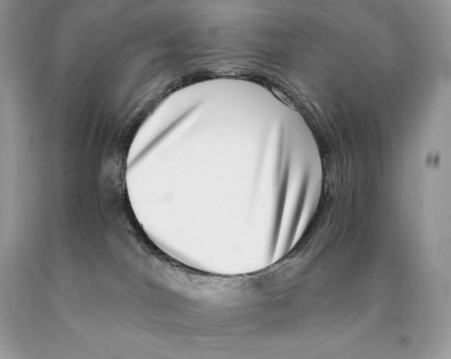 X0000089970044200707271930