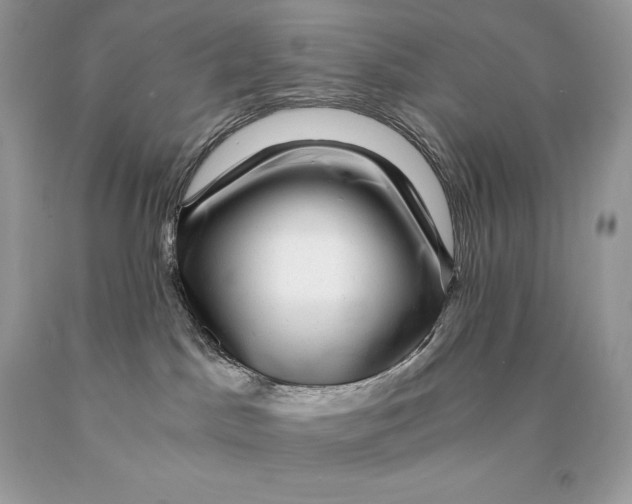 X0000089970045200707271930