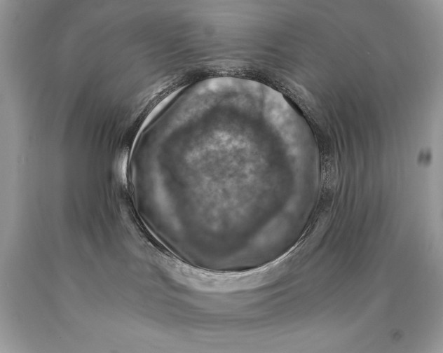 X0000089970047200707271930