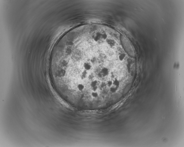 X0000089970049200707271930