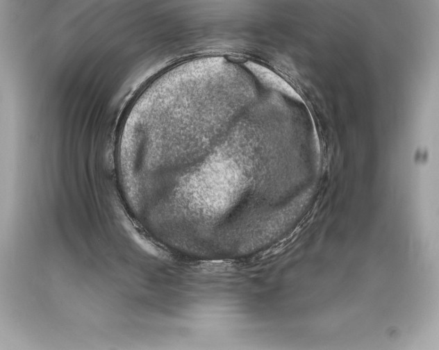 X0000089970050200707271930