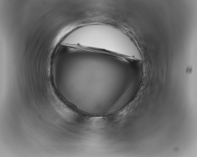 X0000089970054200707271930