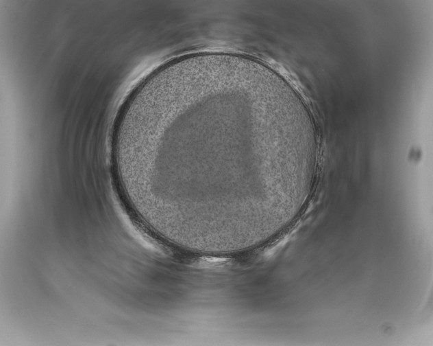 X0000089970055200707271930