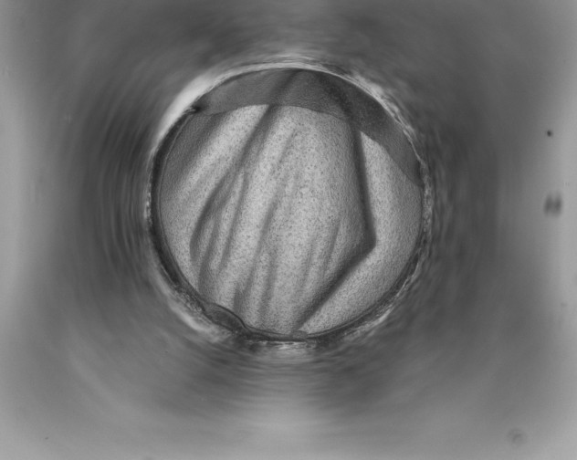 X0000089970056200707271930