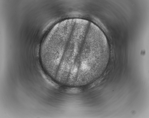 X0000089970058200707271930