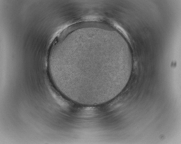 X0000089970059200707271930