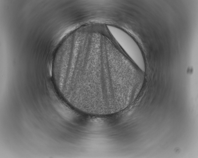 X0000089970062200707271930