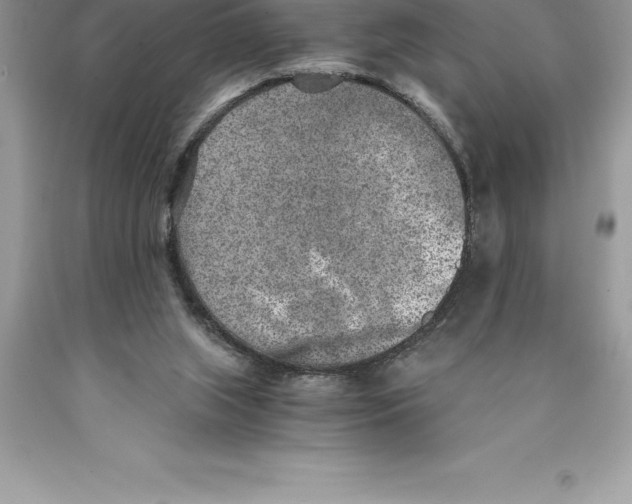 X0000089970063200707271930