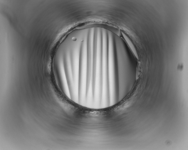 X0000089970064200707271930