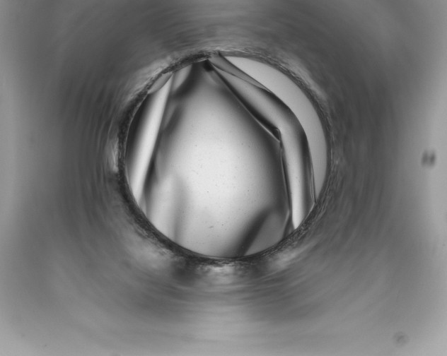 X0000089970068200707271930