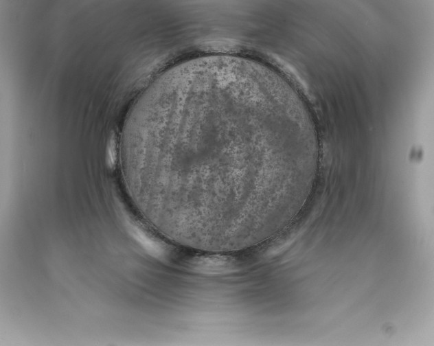 X0000089970069200707271930