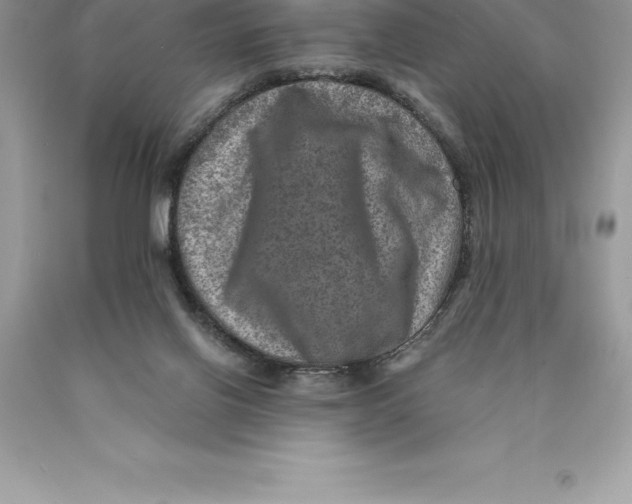 X0000089970070200707271930