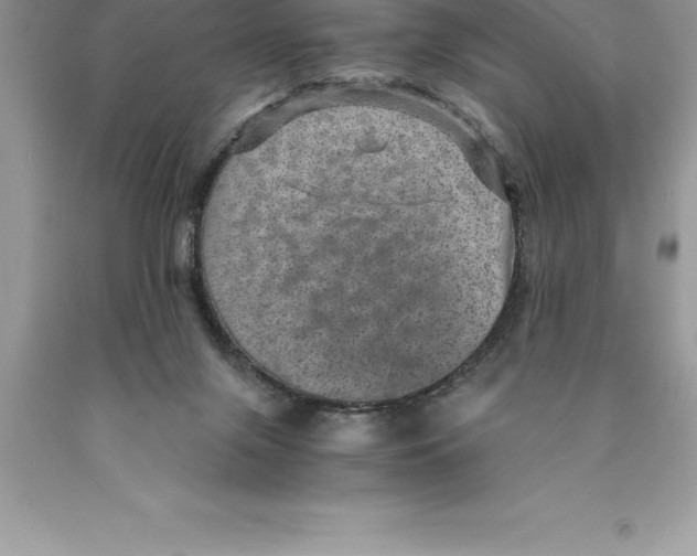 X0000089970071200707271930