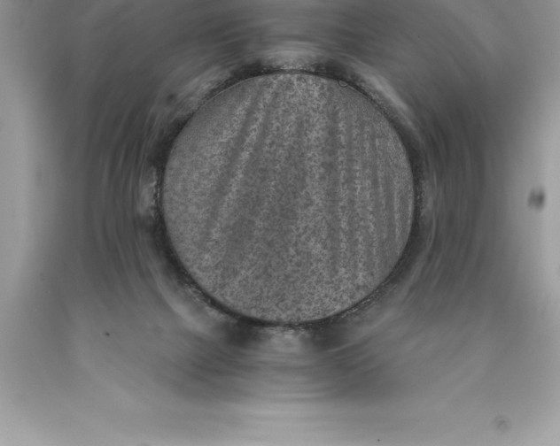 X0000089970073200707271930