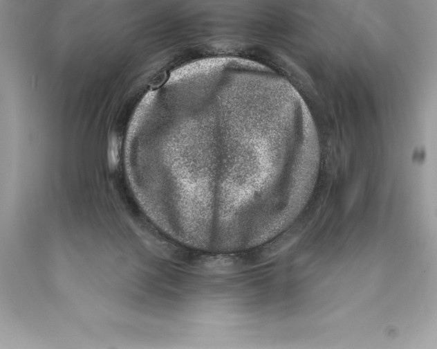 X0000089970075200707271930