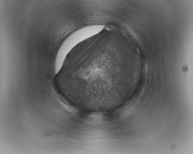 X0000089970076200707271930