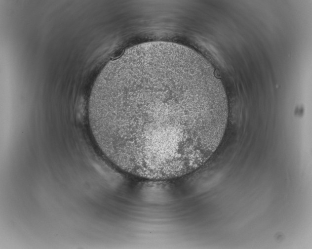 X0000089970077200707271930