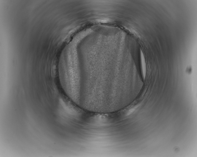 X0000089970080200707271930