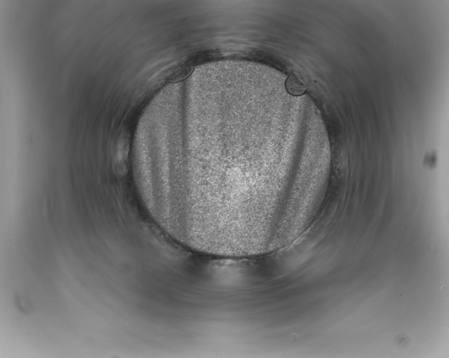 X0000089970082200707271930