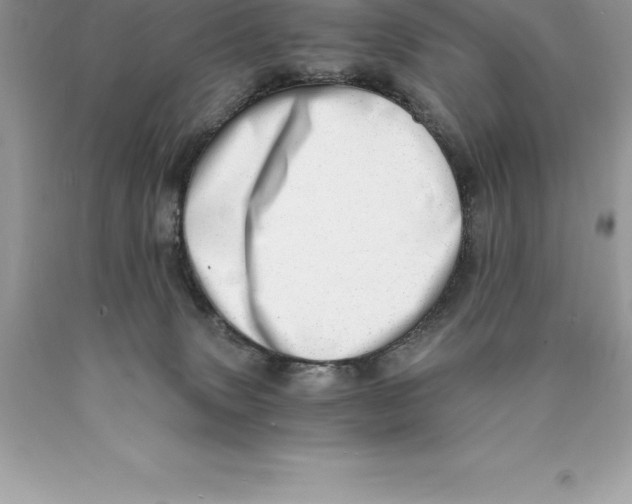 X0000089970083200707271930