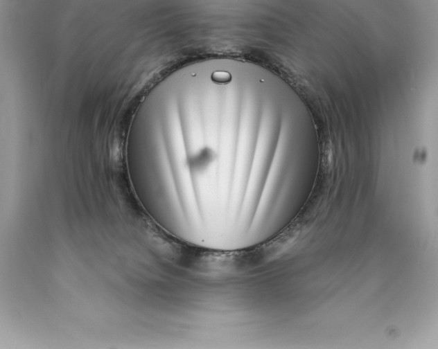 X0000089970084200707271930