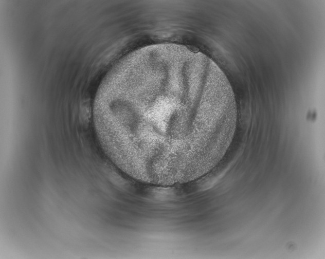 X0000089970085200707271930