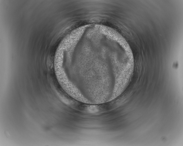 X0000089970091200707271930