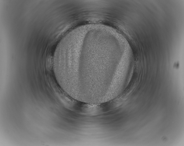 X0000089970093200707271930