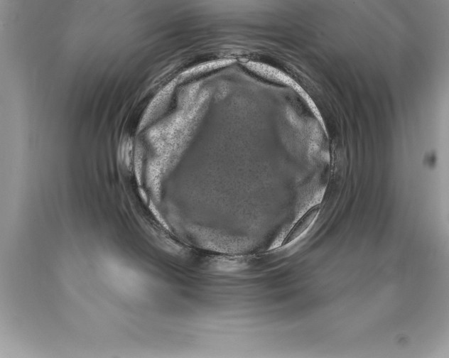 X0000089970094200707271930