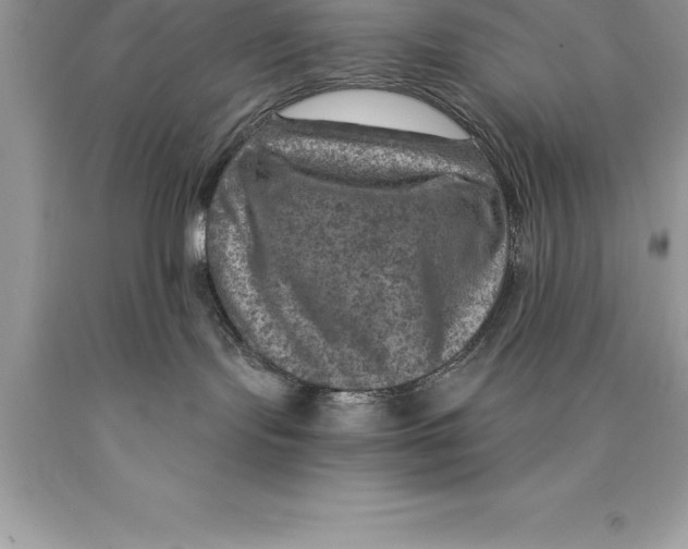 X0000089970095200707271930